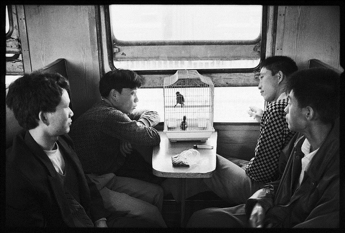 Документальный фотоцикл о *жизни* китайских поездов от Wang Fuchun Документальный фотоцикл о *жизни* китайских поездов от Wang Fuchun